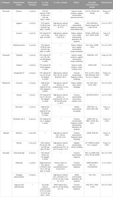 Diabetes cardiomyopathy: targeted regulation of mitochondrial dysfunction and therapeutic potential of plant secondary metabolites